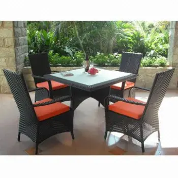 Rattan/Wicker Outdoor Garden Furniture/Dinging Set