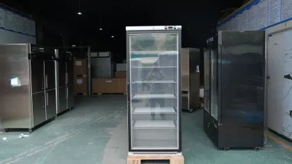 Commercial Catering Equipment: Led Light Vertical Display Cooler with Glass Door Refrigerator