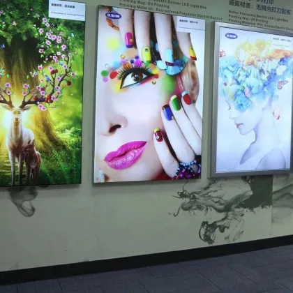 Backlit Hard PET Film for Commercial Lightbox and Poster Materials