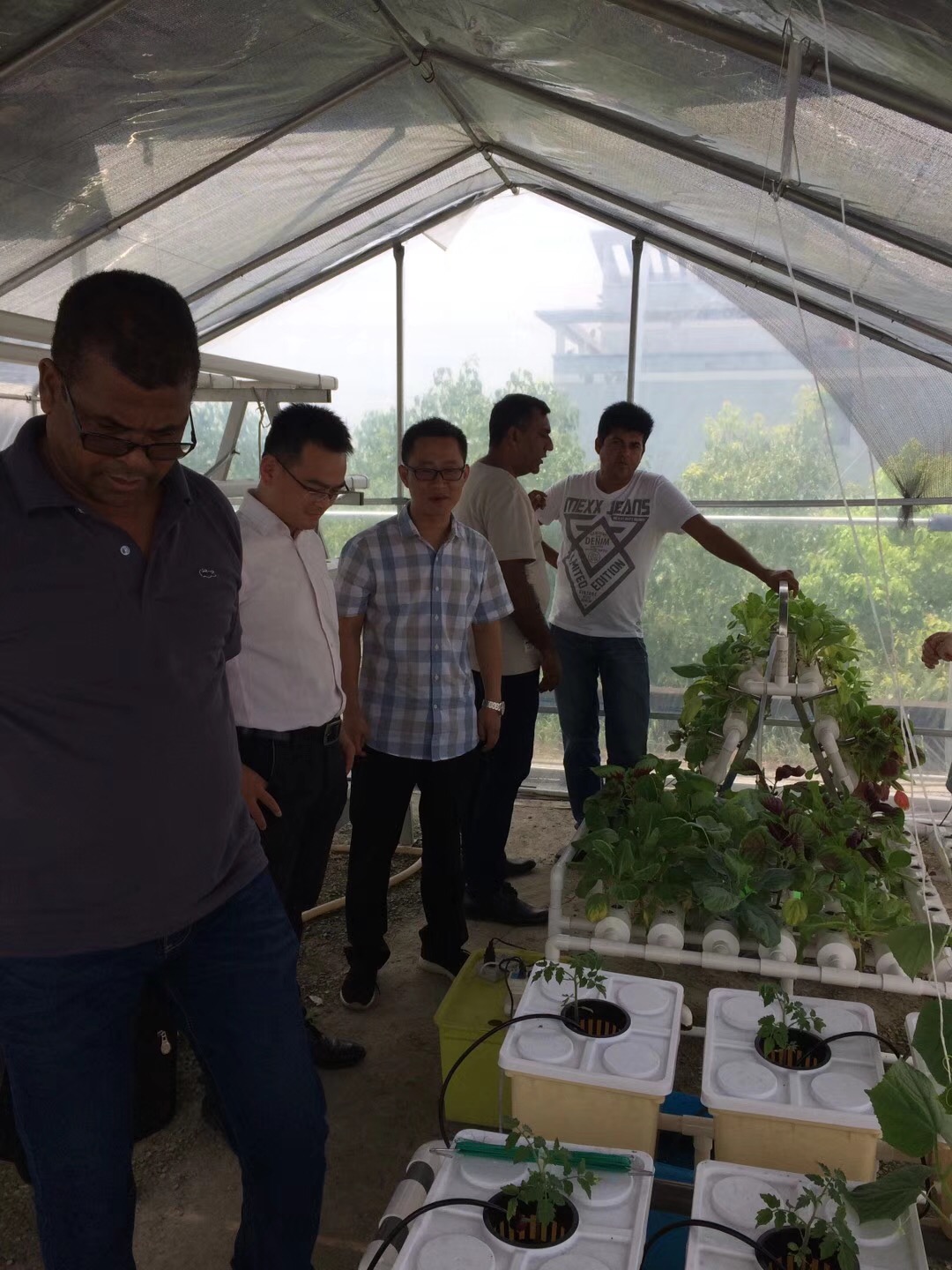 Mauritius Clients Raj visited our greenhouse and nft hydroponics system