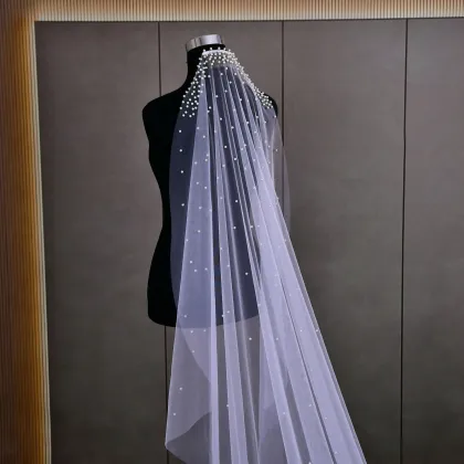 Bride Main Wedding Veil Super Fairy Korean Style Long Tail Embroidery Bridal Veil