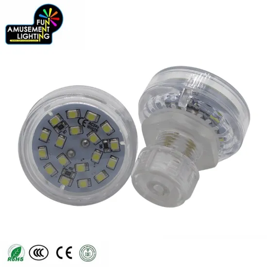 IP65 Waterproof Single Color LED Amusement Lights - High Brightness & Top Selling