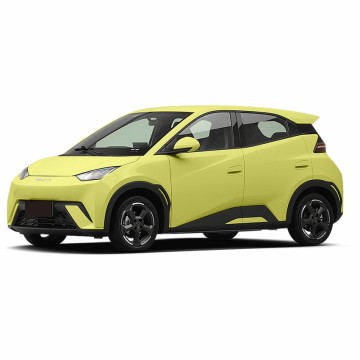 BYD Seagull: hayon électrique à chaud avec lecteur de main EF et fournisseur chinois