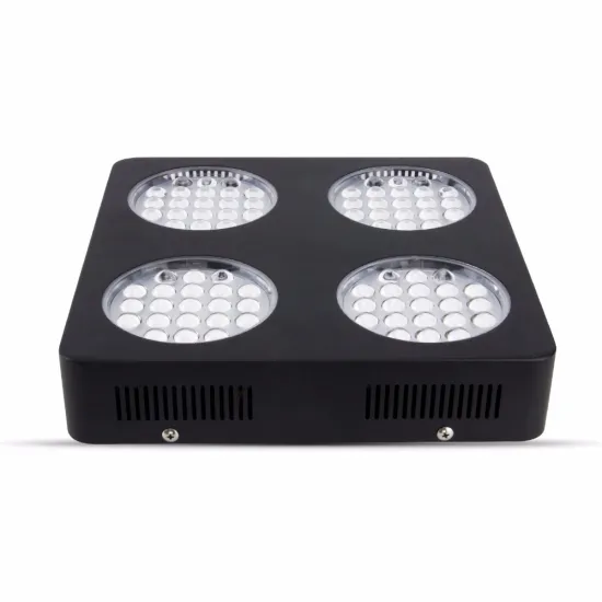 shenzhen cheap price professional grow tent indoor led grow light plant grow lighting