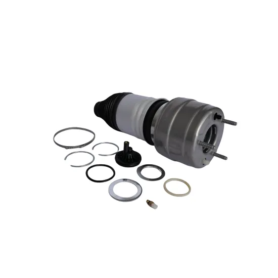 Mercedes-Benz 4matic W253 X253 Front Left/Right Air Shock Absorber 2533207200 2533207300