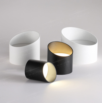 Surface-mounted oblique minimalist downlight
