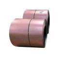 Pre-Coated PPGI Steel Coil