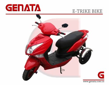 2013 New Design Three Wheel Electric Scooter (GM690E)