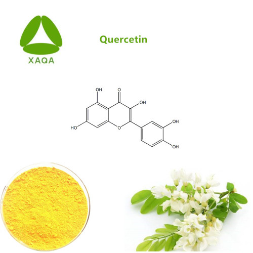 Natuurlijke ingrediënten Sophora Japonica-extract Quercetine 98%