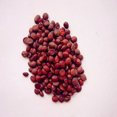 t0143097da2cd49f2e8