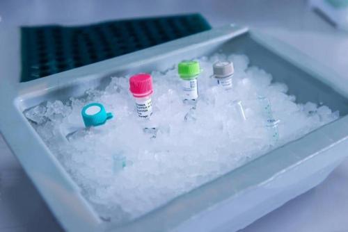 Cheap Laboratory Flake Ice Machine