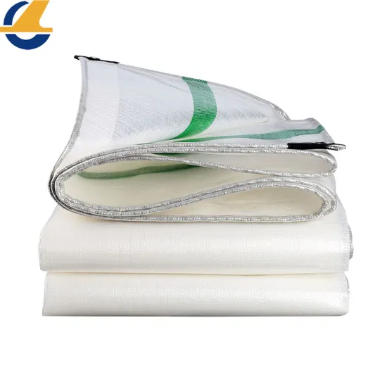 Poly Canvas Tarpaulin Lowes