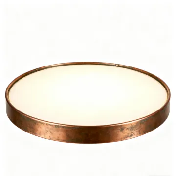 Modern LED Ceiling Light for Apartments