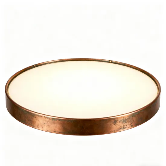 Modern LED Ceiling Light for Apartments