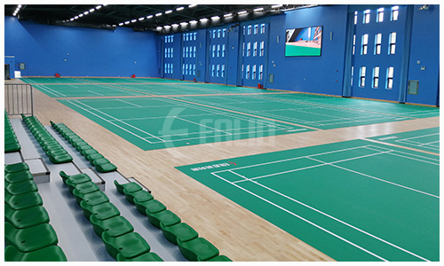 Y11 BADMINTON COURT MAT (6)