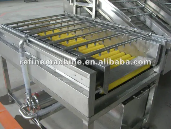 brush washing/brusher/washer/food processing machine