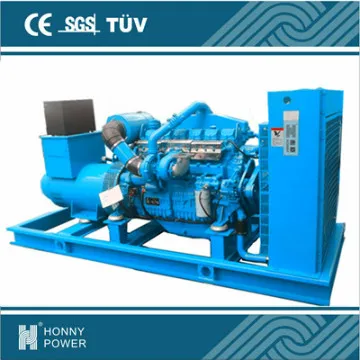 1000rpm ,312.5kVA diesel generator set  (Steady power,low maintenance)