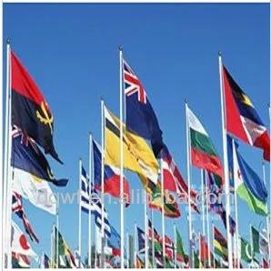 100% polyester color flag fabric