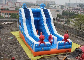 Double Slide Way Commercial Inflatable Slide, Giant Inflata