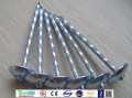 Price de fábrica Electro galvanizado Q195 Umbrella Roofing Nail