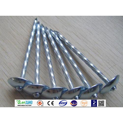 China Zinc Plated Umbrella Roofing Nails Supplier