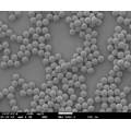 Reversed Phased Polymeric Resin InVent PS 8