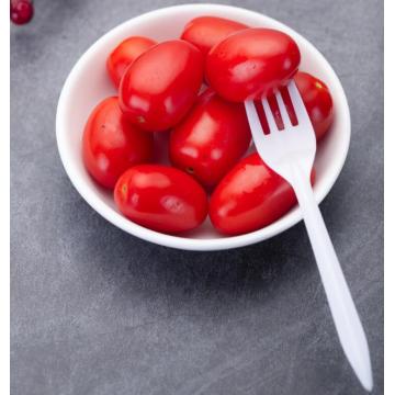 Fast Food Plastic Fork