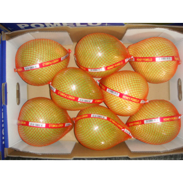 Lezat segar pomelo lezat