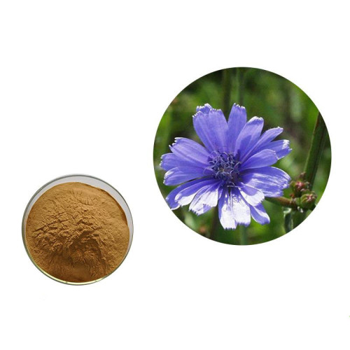 Chicory Extract 90% Inulin