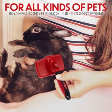 Pet Dog Brush Gently Removes Loose Pet Hair