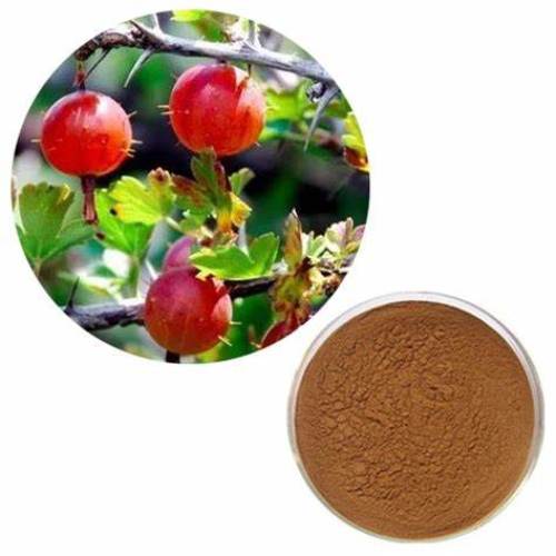Natural Pure Pygeum Extract