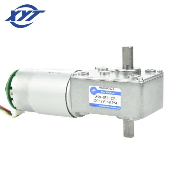 Electric High Torque 24V Dual Shaft DC Geared Motor