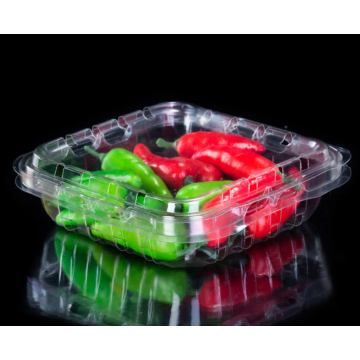 Disposable Plastic Clamshell Vegetable Packing Box