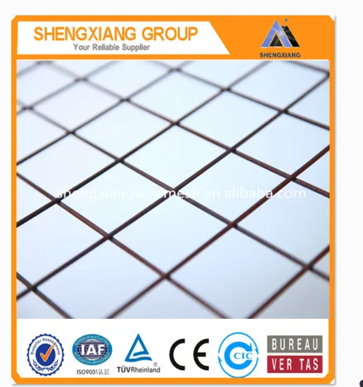 Galvanized Welded Wire Mesh/Welded Wire Mesh Panel (factory)