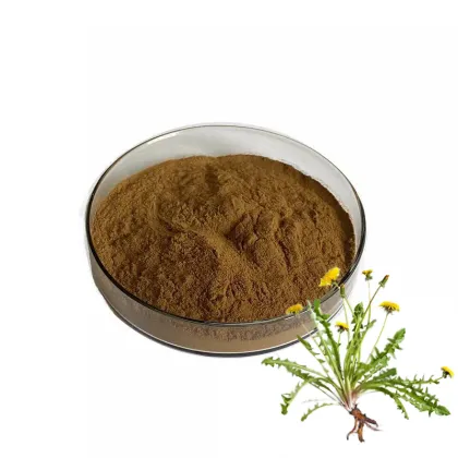 Dandelion Extract Powder for sale