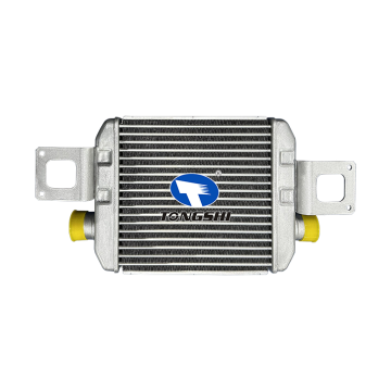 Intercooler in alluminio OEM 179400W010 del pezzo di ricambio automatico per Dutro Dyna 130HT/130HD