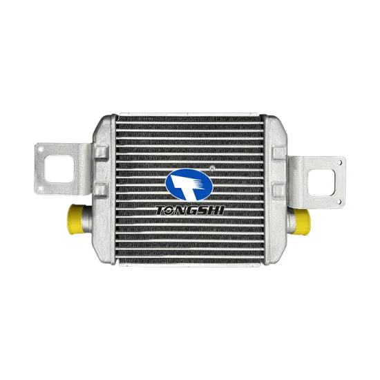 Auto Spare Part OEM 179400W010 Aluminum Intercooler for Dutro Dyna 130HT/130HD