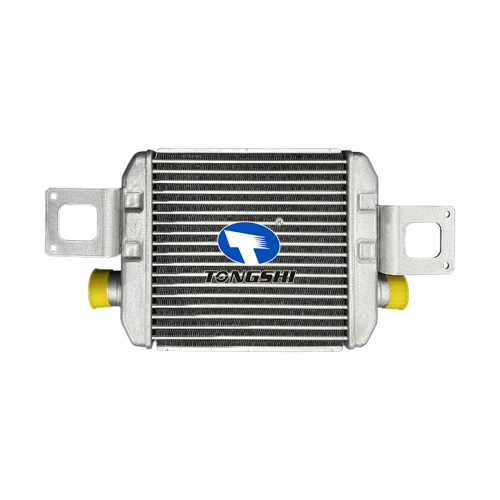 Auto Spare Part OEM 179400W010 Aluminum Intercooler for Dutro Dyna 130HT/130HD