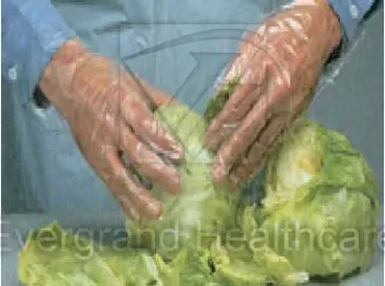 Disposable PE Gloves
