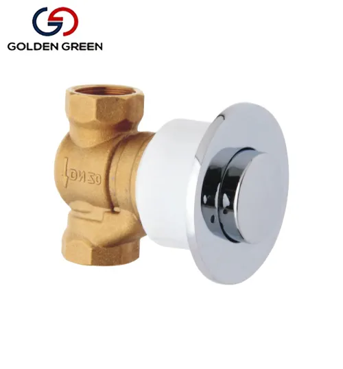 Saudi  Arabia  Brass Body  Flush Valves  Shower Valve Brass Time Delay Urinal Push Button Self Closing Valve