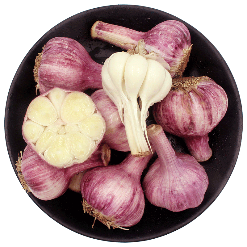 purple garlic