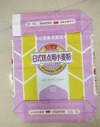 Pasted Valve Paper Flour Bag
