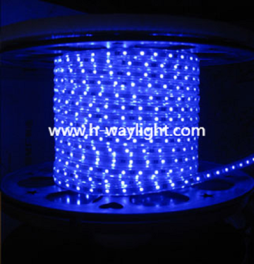 220V LED Strip Light