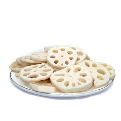 Natural Lotus Root & Dried Fruit Crisps: Healthy, Crunchy Snacks in Bulk