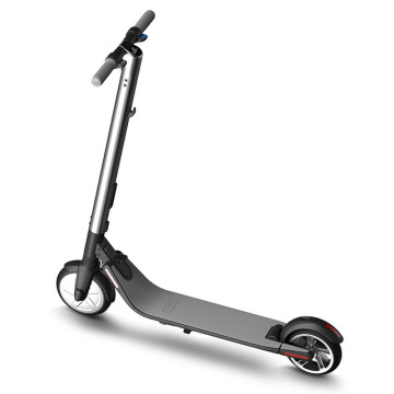 Tavola lunga pieghevole pieghevole Scooter elettrico