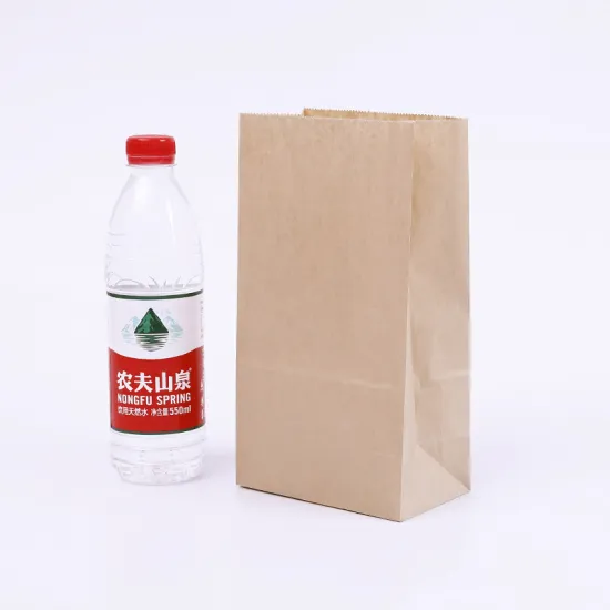 Kraft paper bag without handle