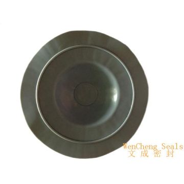 PTFE Coated Pump Diaphragm Replacement