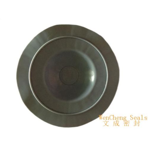 PTFE coated EPDM Diaphragm