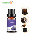 Étiquette privée en vrac de 10 ml thérapeutique Arôme d&#39;huile violet