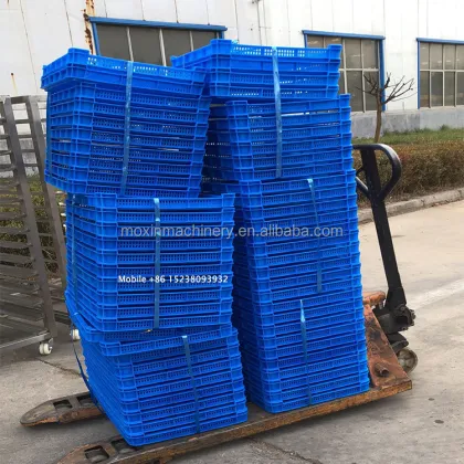 Moxin Sweet Corn Liquid Nitrogen Freezing Tunnel